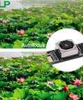 Close-up of 8MP USB Camera Module With Microphone Autofocus For PC And Laptop Plug And Play 4K Ready Lightburn Compatible Laser Engraver Webcam Mini Auto Focus Board CCTV USB Surveillance Camera For Raspberry Pi And Desktop against lotus pond background