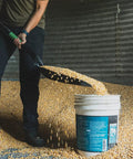 Person using Scoop Shovel With Lightweight Aluminum Head Ergonomic No Slip H Grip D Handle And Fiberglass Core for moving grain.