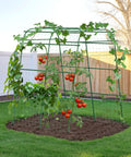 Big Garden Arch Trellis For Climbing Plants 63 Inch Long 68 Inch Wide 76 Inch High Heavy Duty Metal Cucumber Tomato Vine Support