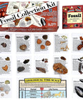 Totally Real Fossil Collection Kit With 12 Fossils, Including Shark Teeth And Dinosaur Bone, Coprolite, Fossil ID Book, Chart