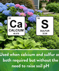 Garden with flowers and signs for calcium and sulfur, used for soil care without altering pH.