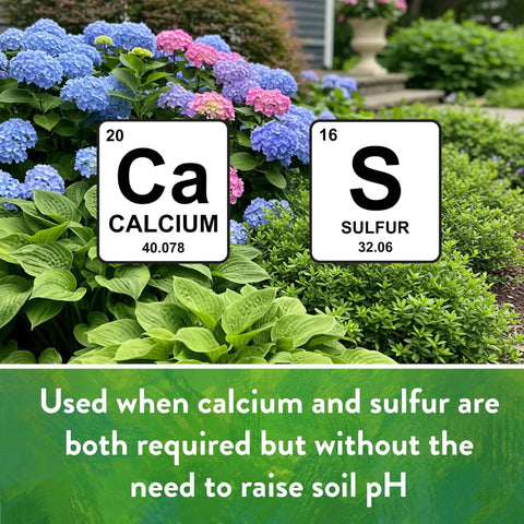 Garden with flowers and signs for calcium and sulfur, used for soil care without altering pH.