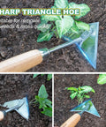 Triangle Hand Hoe With Short Wood Handle for easy weeding and edging; stainless steel winged weeder in garden bed close-up