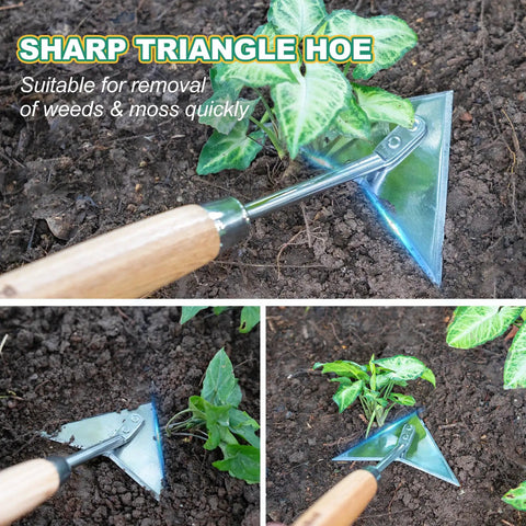 Triangle Hand Hoe With Short Wood Handle for easy weeding and edging; stainless steel winged weeder in garden bed close-up