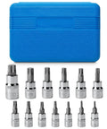 Torx Bit Socket Set 13 Piece T8 Through T60 with star and torx bits and blue storage case, S2 alloy steel, for precision repairs