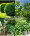 Collage showcasing applications of 10 Inch 3 Tooth Carbon Steel Brush Cutter Blades on shrubs, saplings, vines, and thick grass