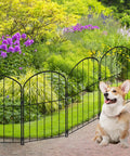 No Dig Garden Fence Kit 24 Inch High Arch Border Panels in garden with Corgi, 10.5 Feet Long, 10 Panels with S Clips and Zip Ties