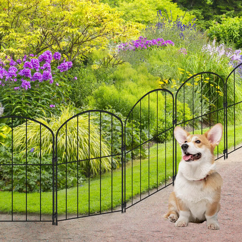 No Dig Garden Fence Kit 24 Inch High Arch Border Panels in garden with Corgi, 10.5 Feet Long, 10 Panels with S Clips and Zip Ties
