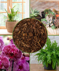 All Natural Pine Bark Mulch Nuggets For Indoor And Outdoor Pots And Planters Terrariums 30 Quarts Small Chips with plants