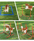 Dog Agility Training Set For Backyard And Indoor Use 4 Piece Obstacle Course with pause box, jump ring, hurdle, weave poles