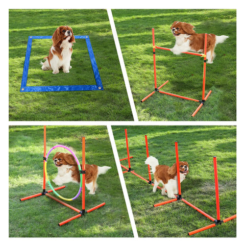 Dog Agility Training Set For Backyard And Indoor Use 4 Piece Obstacle Course with pause box, jump ring, hurdle, weave poles