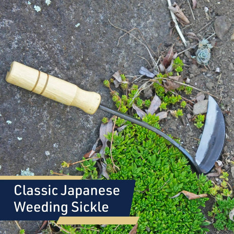 Nejiri Kama Weeding Sickle Tool with wooden handle, razor-sharp 4 inch drop forged blade for quick weed removal on soil surface.