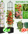 Beefy 76 Inch Weather Resistant Rustproof Metal Garden Trellis For Climbing Plants, Rock Solid Support For Roses Clematis Tomatoes And Vines