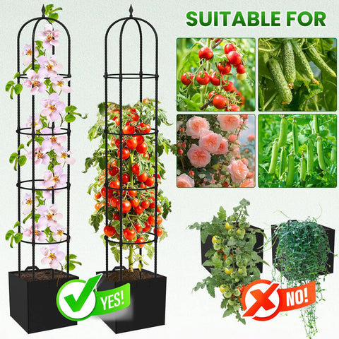 Beefy 76 Inch Weather Resistant Rustproof Metal Garden Trellis For Climbing Plants, Rock Solid Support For Roses Clematis Tomatoes And Vines