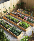 All In One Drip Irrigation Kit For Garden And Greenhouse With One Half Inch And One Quarter Inch Tubing Locked Fittings 360 Degree Fan Sprayer setup in raised garden beds