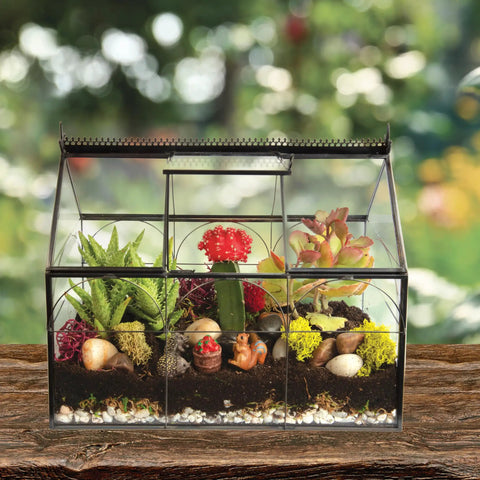 Glass Greenhouse Centerpiece Terrarium For Tabletop Decor With Black Brass Accents, Ideal Wedding Letterbox Display, Space For Succulents Moss And Flowers, Totally Chic Indoor Plant Lover Gift For Spring Home Decor