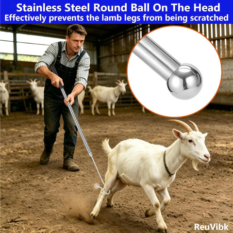 Adjustable Goat And Sheep Catcher Hook With 304 Stainless Steel Leg Hook And Iron Ball, Extendable From 44 To 75 Inches For Quick, Humane Grabs During Health Checks, Milking, And Shearing On The Farm