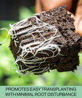 Close-up of soil block with visible roots from 216-Cell Seed Starter Trays Set With Plant Stakes, 36 Trays Of 6-Cell Blocks