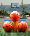 Custom Photo Logo Or Text Basketball Golf Balls 12 Pack With 360 Degree Print staged on outdoor basketball court