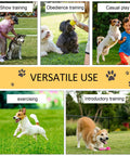 All-In-One Dog Agility Training Kit With Adjustable Poles Jump Run Obedience Set for versatile dog training and play
