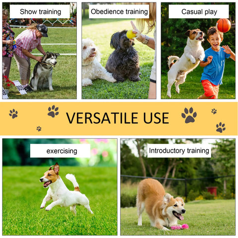 All-In-One Dog Agility Training Kit With Adjustable Poles Jump Run Obedience Set for versatile dog training and play