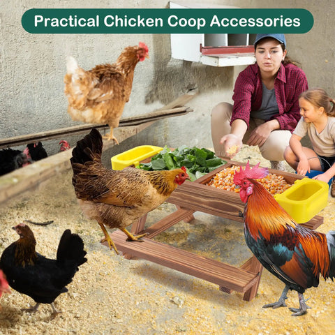 No Waste Chicken Feeders And Waterers Kit With Picnic Table Includes Two Water Feeders Handmade Wooden Chicken Coop Supplies And Accessories For Backyard Poultry Durable Easy To Clean And Family Friendly in use with chickens in a coop.