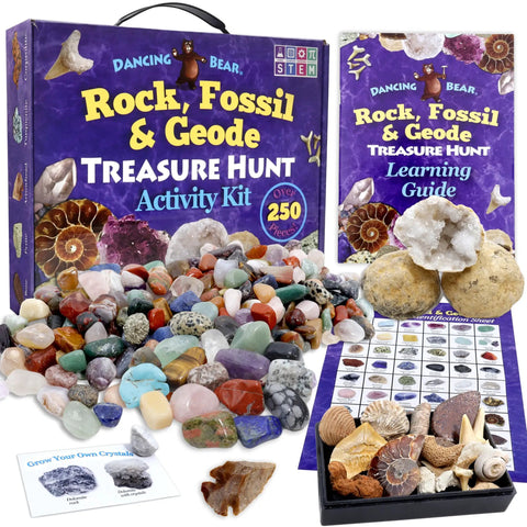 Rock Mineral And Geodes Treasure Hunt Kit With 250 Pieces Real Shark Teeth Fossils ID Sheet And Rock Book STEM Educational Toy For Kids Teens Hands On Science Activity, assorted rocks and geodes