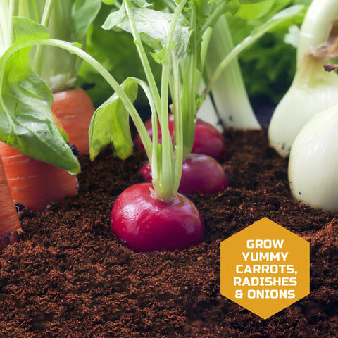 Close-up of carrots, radishes, and onions in soil from Edible Veggie Garden Watch It Grow Kit For Kids Kid Friendly A DIY STEM Activity That Helps Them Grow Carrots Radishes And Onions With Seed Packets Potting Mix And Root Tracker An 11 Piece Learning Toy Gift For Ages 6 Plus.