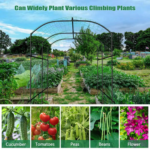 Metal Core Garden Arch Trellis For Climbing Plants Outdoor 87 Inch Tall 71 Inch Long 75 Inch Wide Archway Tunnel Plant Support