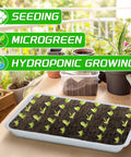 Six Pack Stainless Steel Seed Starter Trays for Germination Seedlings and Water Collection with Sprouts Indoors