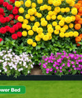 Colorful flower bed edged with Garden Edging Border For Yard And Flower Beds, 100 Ft Long, Two Inch Tall Flexible Plastic Landscape Edging With 150 Stakes, Easy Install Tool Free Lawn Border For Lawn, Garden, And Landscaping