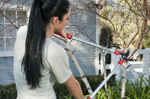 Person using 30 Inch Bypass Lopper With Comfort Gel Grips And Shock Guard For Easy Cutting Of Branches Up To 1.5 Inches in garden