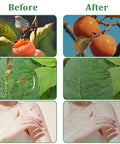 Comparison of fruit, leaves, and skin before and after using Two Pack Mosquito Netting For Patio And Garden Black 10 X 16.5 Ft Poly Mesh Screen