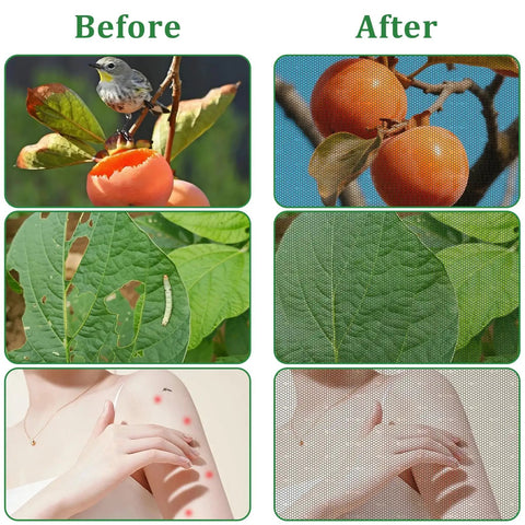 Comparison of fruit, leaves, and skin before and after using Two Pack Mosquito Netting For Patio And Garden Black 10 X 16.5 Ft Poly Mesh Screen