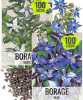 Borage Seeds For Planting Blue And White Star Flowers Non GMO Heirloom And Untreated Garden Seeds with 2 packets and seeds