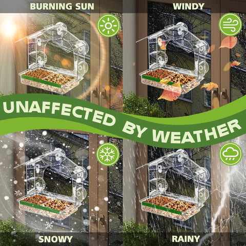 Epic Window Bird Feeder With Five Extra Strong Suction Cups For Outdoors in various weather conditions