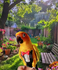 Parrot in Bird Diaper Harness Tuxedo Flight Suit With Waterproof Inner Layer For Parrots Cockatiels Conures Parakeets Macaws Budgies