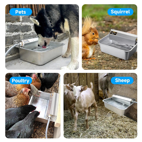 Slick Automatic Dog Water Dispenser With Hella Sturdy Two Gallon Stainless Steel Bowl For Indoor Outdoor Setup and Dead Simple Livestock Hydration Fitting Standard Faucet Adapters in use with pets, poultry, and livestock.