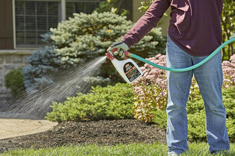 Person using BugClear Insect Killer For Lawns And Landscapes Ready To Spray Kills 235 Bugs In Minutes Rids Your Yard Of... 32 Oz 2 Pack