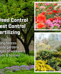 Garden with flowers and trees highlighting uses for Backyard Ready 4 Gallon Backpack Sprayer With Durable Poly Tank.