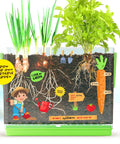 Root Viewer Plant Growing Kit For Kids See Through Planter STEM Science Toy For Ages 4 5 6 7 8 Educational Gift For Boys And Girls Learn About Roots And Plant Growth With Hands On Observation showing growing roots