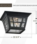 Herrington Two Light Outdoor Ceiling Flush Mount Fixture In Black Finish dimensions 10 3/4 H x 6 1/2 W inches
