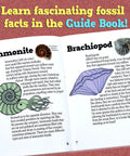 Fossil Dig Kit For Kids, Excavate 15 Real Fossils, Dinosaur Bones And Shark Teeth guidebook showing ammonite and brachiopod