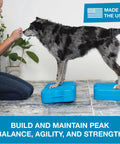 Dog standing on turquoise balance platforms with trainer using Inflatable Dog Balance Training Platform Kit 2 Pack With Dope Air Pump Straps