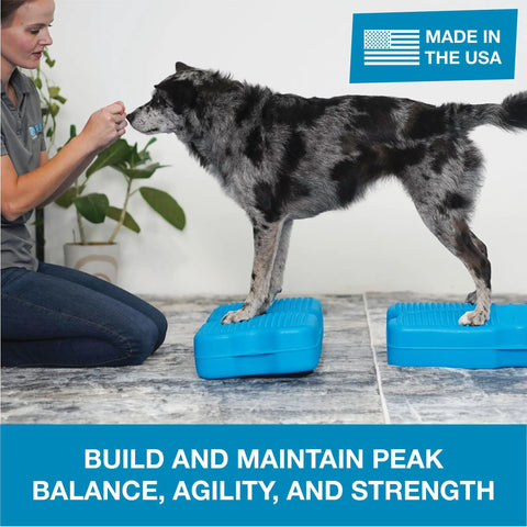 Dog standing on turquoise balance platforms with trainer using Inflatable Dog Balance Training Platform Kit 2 Pack With Dope Air Pump Straps