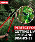 Bypass Lopper 28 Inch Tree Trimmer With 1.25 Inch Clean Cut Capacity in use on branches, highlighting sharp blades and grip