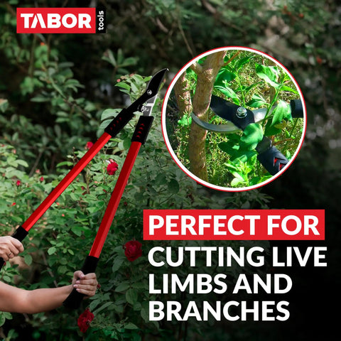 Bypass Lopper 28 Inch Tree Trimmer With 1.25 Inch Clean Cut Capacity in use on branches, highlighting sharp blades and grip