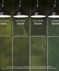 Peel And Stick Backsplash Tile Set, 5 Sheets Of 11.43 X 9 Inches, 3D Adhesive, Sefrou Green Finish under different lighting temperatures