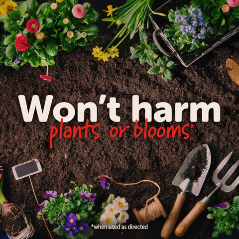 Garden Perimeter Insect Granules 3lb for Fast Acting Protection display with gardening tools and colorful flowers.