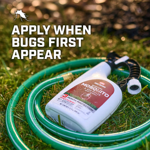 Backyard Mosquito And Bug Killer Ready To Spray For Outdoor Pest Control That Kills Mosquitoes Ants Fleas And Spiders Odor Free